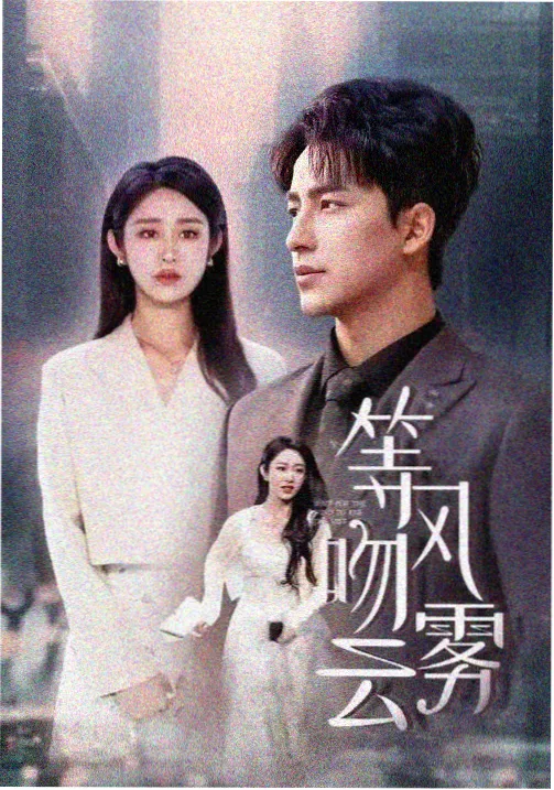 长剧集长街灯火封面