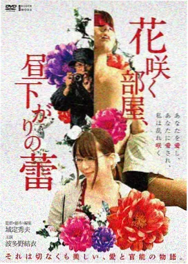 电影单元第七码头封面